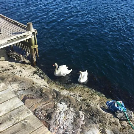Bergen/sotra: Sea Cabin. Spa. Fishing. Boat *