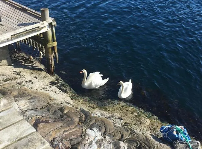 Bergen/sotra: Sea Cabin. Spa. Fishing. Boat *
